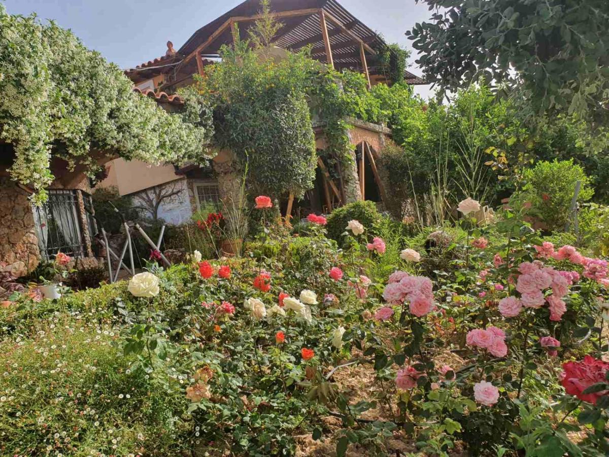 Nadia'S Traditional Greek House Anavyssos Exterior photo